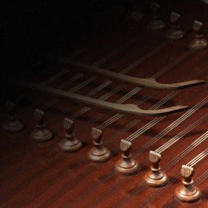 اموزش-تخصصی-ساز-سنتور-در-کرج