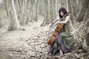 همه چیز درباره ویلنسل